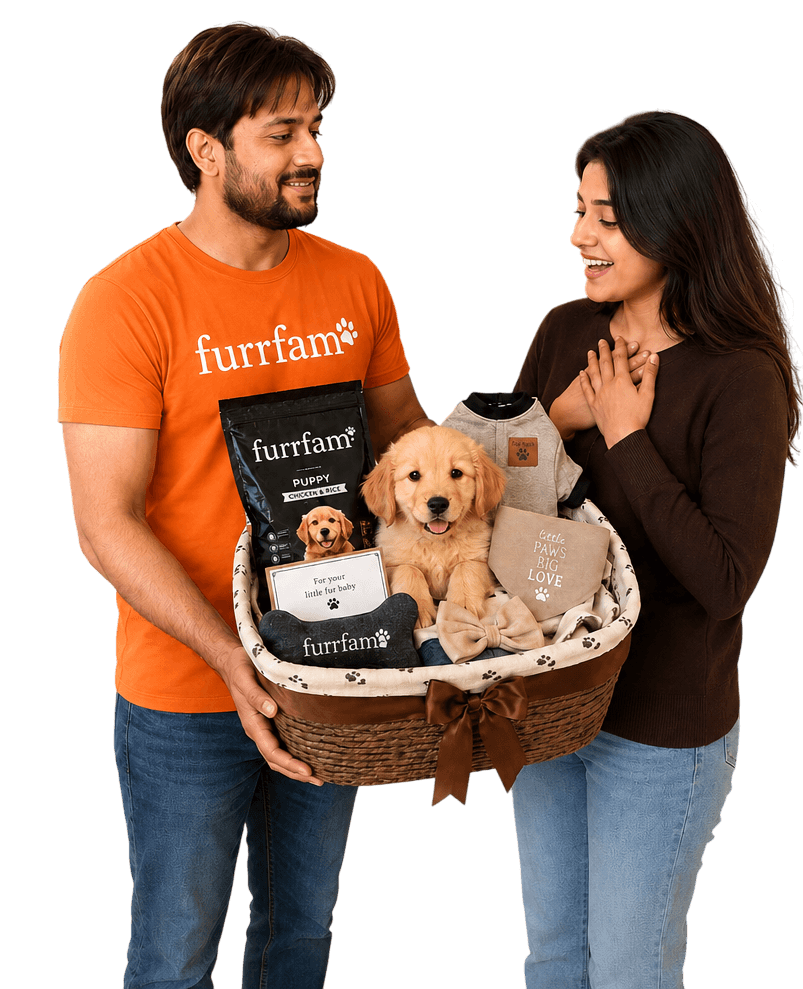 A Furrfam gift hamper with a puppy, food, a cosy blanket and a bow