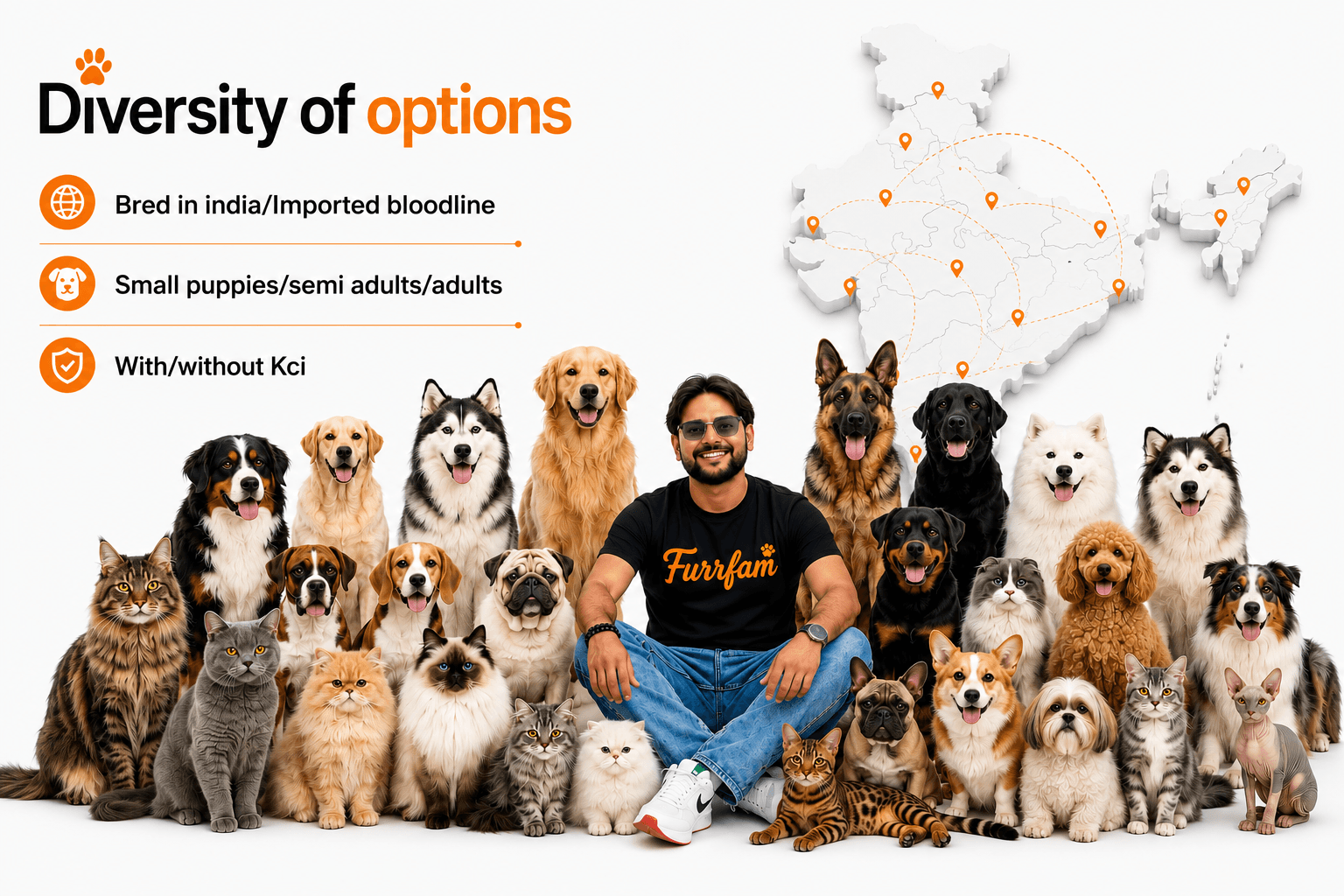 Happy dogs and their families with Furrfam